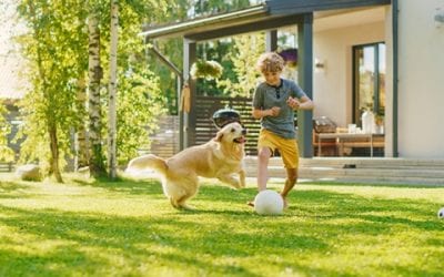 Why This Isn’t Your Typical Summer Housing Market